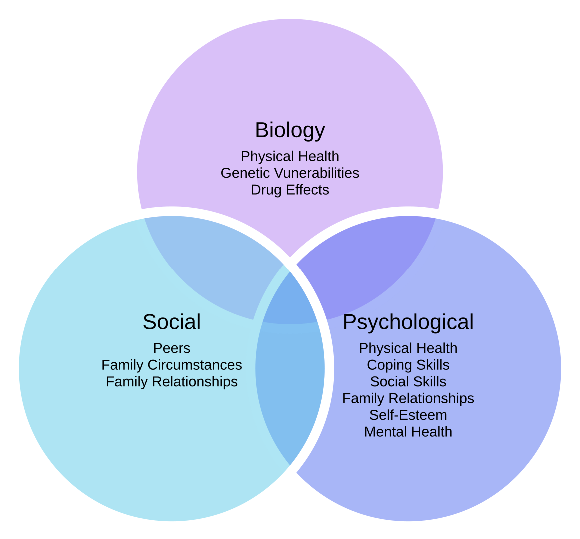 modello bio-psico-sociale